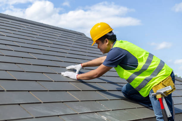 Best Roof Gutter Cleaning  in Ruskin, FL